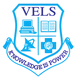 VELS Logo
