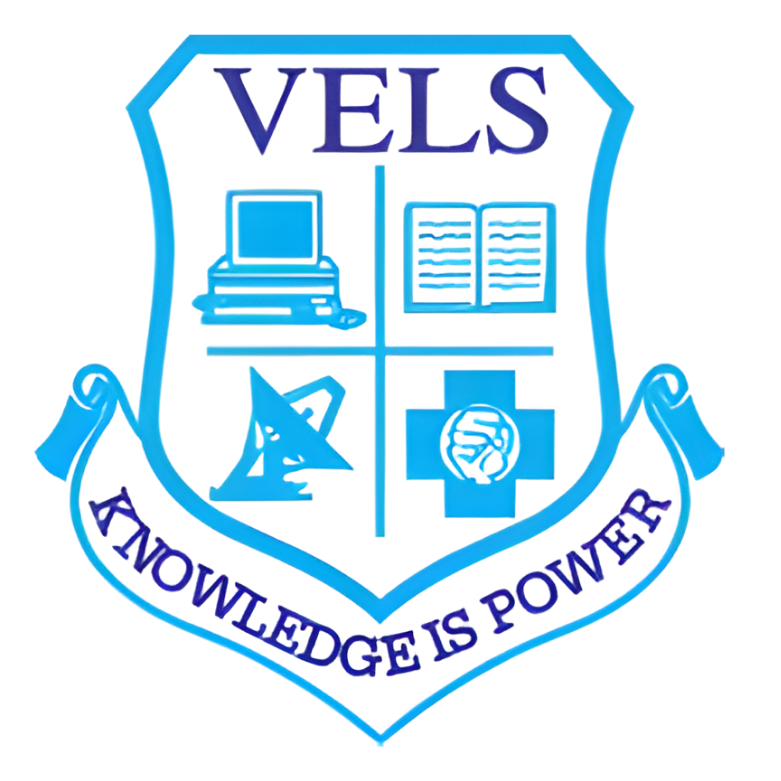 VELS Logo